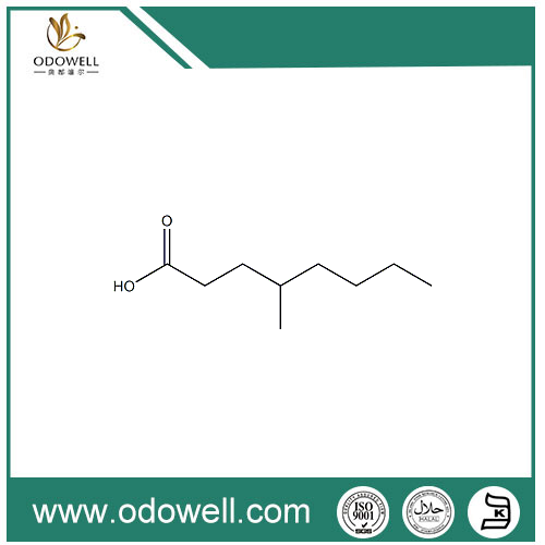 Axit 4-metyloctanoic