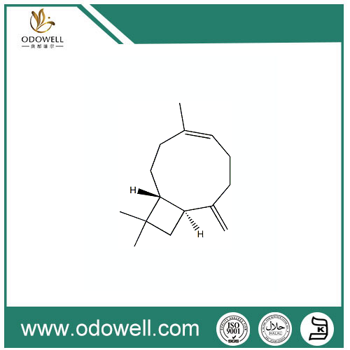 BETA-CARYOPHYLLENE