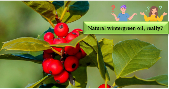 Dầu Wintergreen - Làm thế nào có thể xác định và kiểm tra các thành phần tổng hợp về tính tự nhiên?