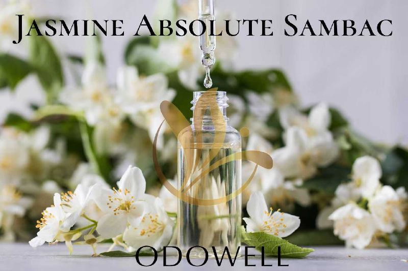 ​ODOWELL ra mắt Jasmine Tuyệt đối Sambac - Tinh chất hoa nhài tự nhiên cao cấp dành cho nước hoa và sắc đẹp