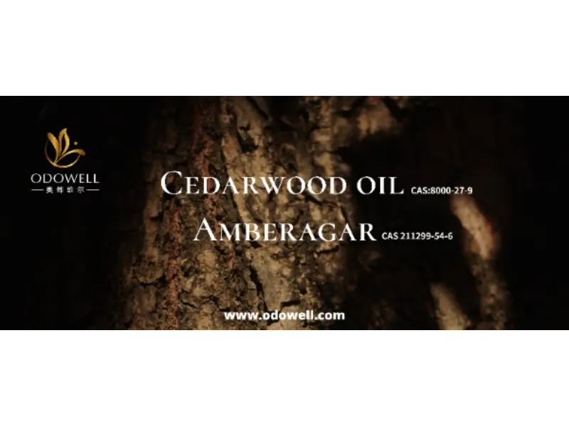 Mùi hương đặc trưng của bạn có thực sự độc đáo không?