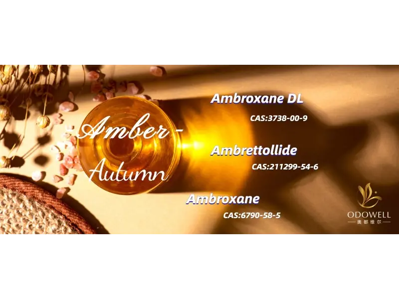 Mùi hương trung tính giới tính hàng đầu cho năm 2025 là gì