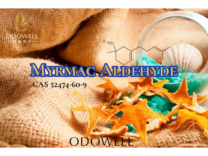 Myrmac Aldehyde – Aldehyde Ozonic Marine của ODOWELL cho hương thơm tươi mát ngoài trời
