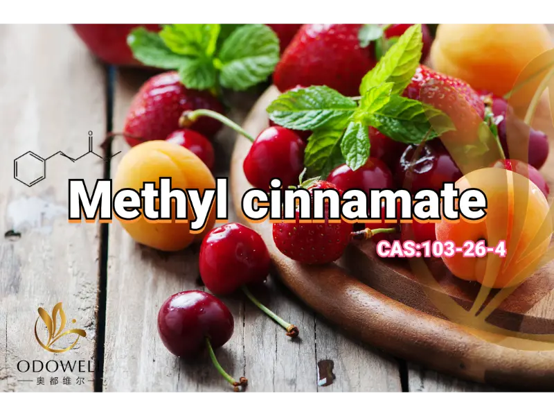 Methyl Cinnamate – Ester Balsamic trái cây ngọt ngào của ODOWELL dành cho hương thơm phương Đông