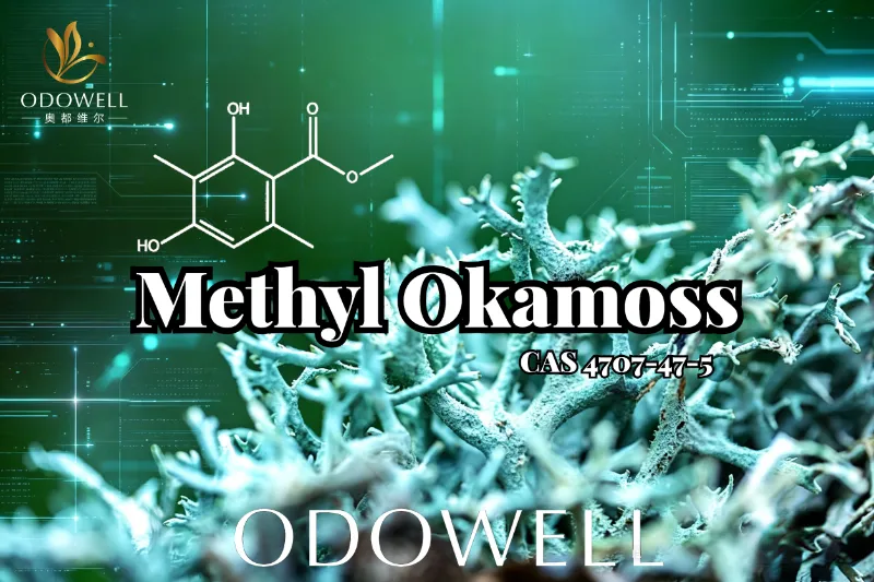 ​ODOWELL giới thiệu Methyl Okamoss: Rêu sồi tổng hợp đích thực dành cho Chypre và Fougère Mastery