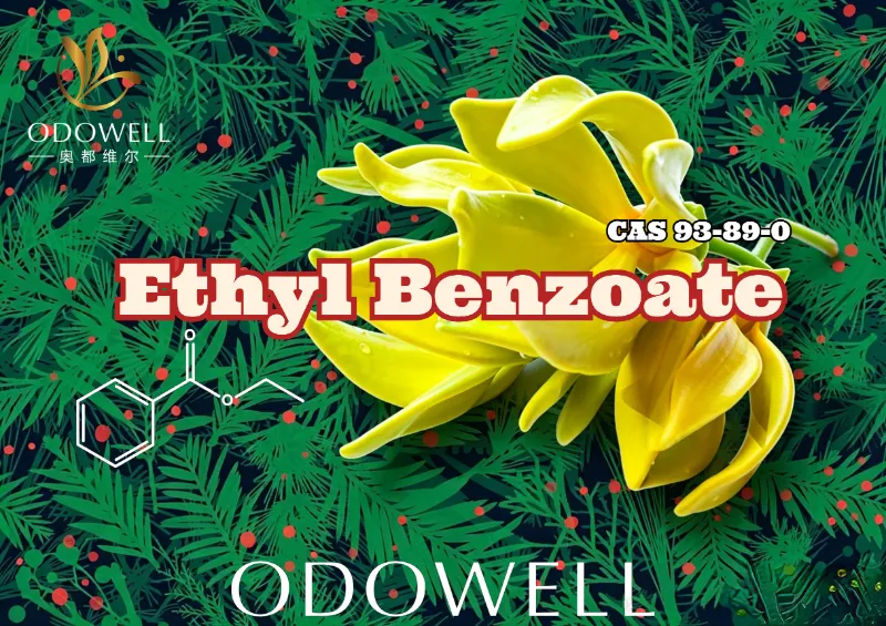 ODOWELL ra mắt Ethyl Benzoate: Ester Wintergreen-Ylang ấm áp mang đến sự sang trọng của hoa và phương Đông