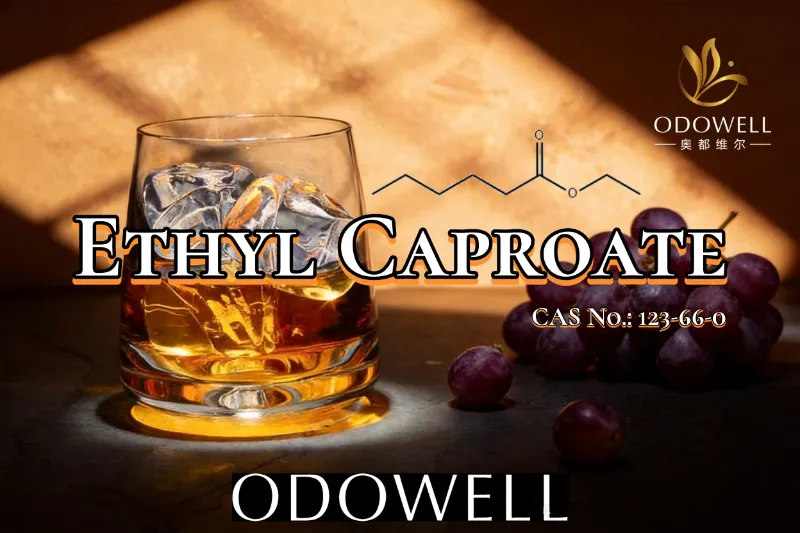 ​ODOWELL Khuyến nghị Ethyl Caproate cho các ứng dụng có hương vị trái cây và giống rượu vang