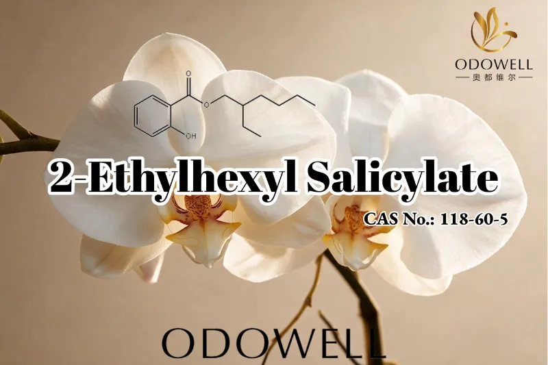 ODOWELL khuyến nghị 2-Ethylhexyl Salicylate cho các ứng dụng nước hoa, mỹ phẩm và chăm sóc cá nhân
