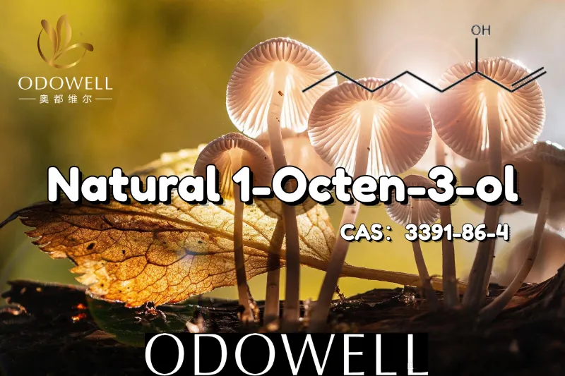 ODOWELL khuyến nghị 1-Octen-3-ol tự nhiên cho các ứng dụng có hương vị giống nấm và đất