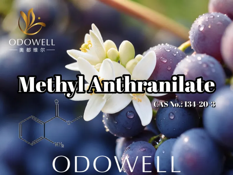 ​ODOWELL Khuyến nghị Methyl Anthranilate cho các ứng dụng Nho, Hoa cam và Hoa cam