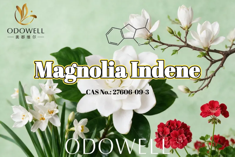 ODOWELL khuyến nghị Magnolia Indene cho các ứng dụng hương thơm hoa tươi và cam quýt