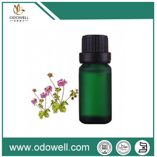 Hóa chất thơm tổng hợp được quy định và thử nghiệm an toàn như thế nào?
